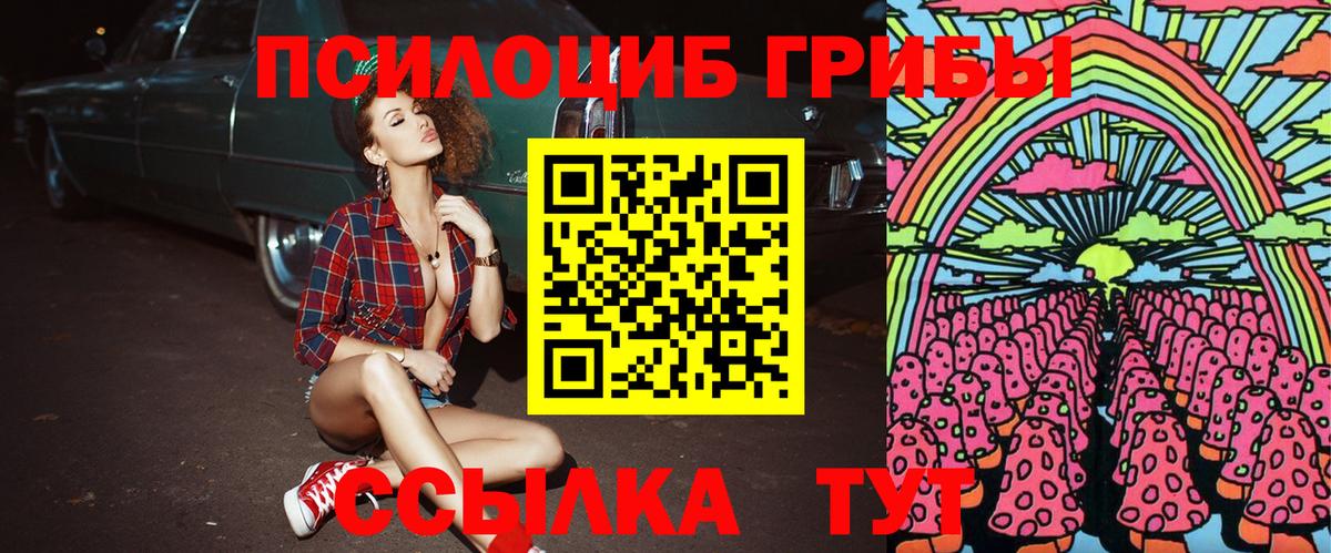 Псилоцибиновые грибы Cubensis Невинномысск