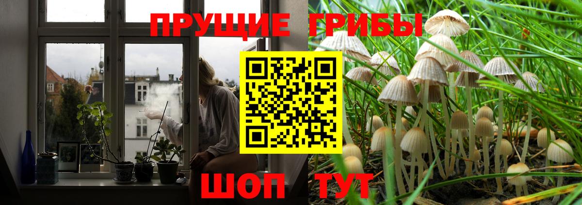 Невинномысск  Псилоцибиновые грибы GOLDEN TEACHER  Вход с VPN 