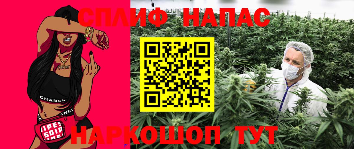 Бошки марихуана планчик Невинномысск